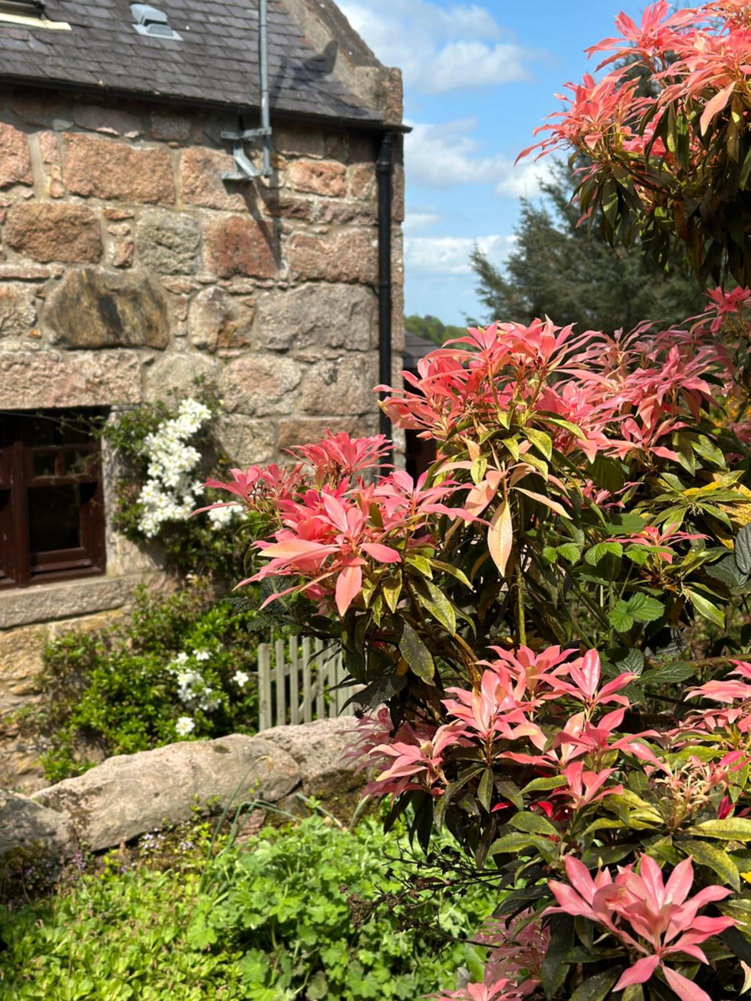 Awakening Alchemy Retreat Centre Inverurie Exterior foto