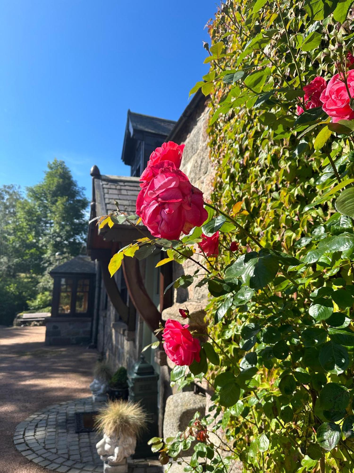 Awakening Alchemy Retreat Centre Inverurie Exterior foto