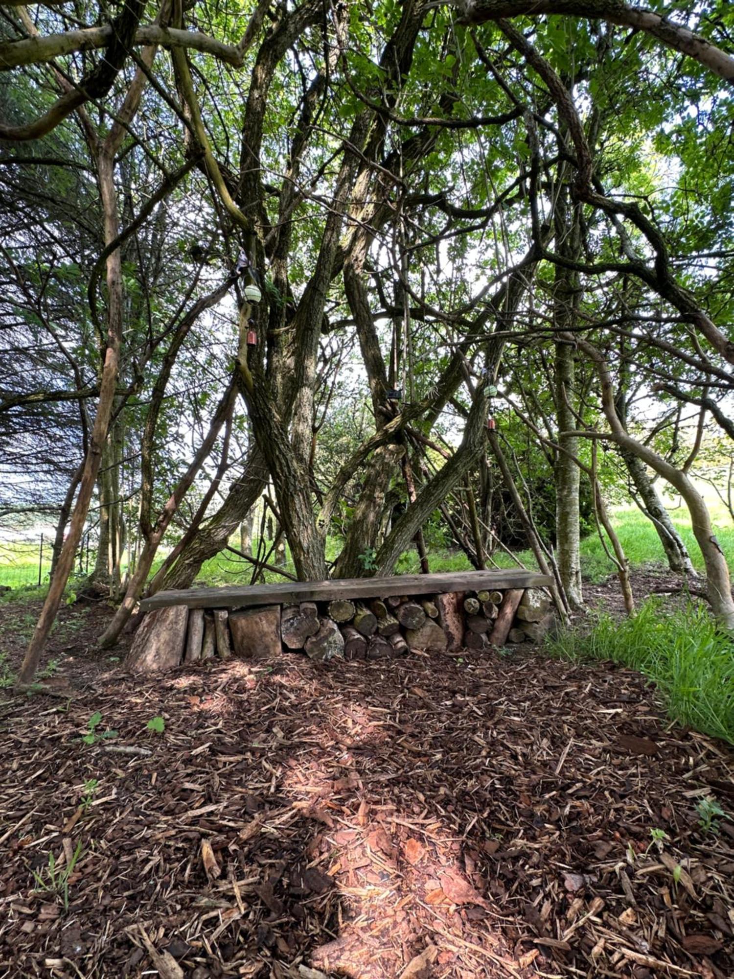 Awakening Alchemy Retreat Centre Inverurie Exterior foto